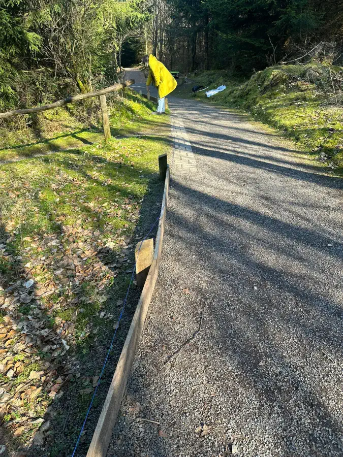 Bild 082 · Ortswechsel & Waldweg Grenzenlos